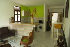 Chaleureux appartement T2 en bas de villa